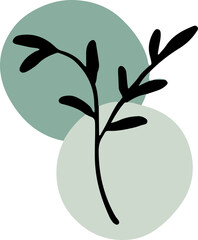 hand draw floral element