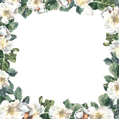 Fototapeta premium Square frame of fig flowers and green leaves on a white background. Watercolor illustration. Isolate