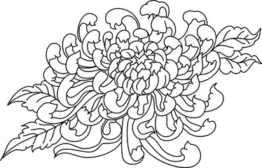 Japanese flower vector for coloring book isolate on white background.