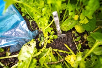 taking a soil sample in a garden in a field on a farm in australia