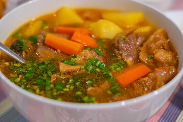 Vegetable stew with meat and potatoes served in a plate on a kitchen table at home. Beef stew farm-style