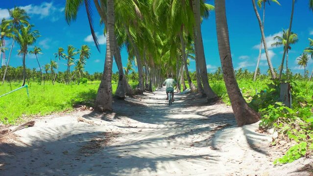 Aerial view a young guy rides a bicycle among green palm trees in tropical Thoddoo island, Maldives. Happy travel lifestyle concept.