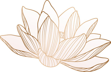 Lotus flower gold line art