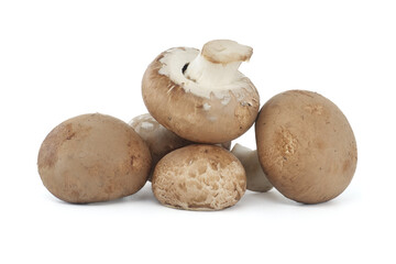 Cremini whole mushrooms isolated on white