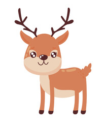 deer cute animal