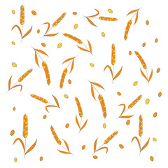 Pattern with whole grain seeds organic on white background flat style design vector illustration. Wheat, barley or rye ears with straw chaotic version.