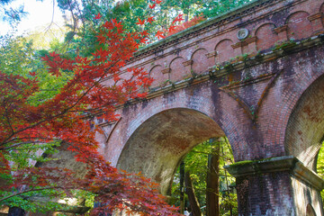 Fototapeta 南禅寺の水路閣の紅葉 obraz