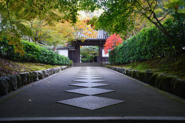 南禅寺の高徳院の紅葉