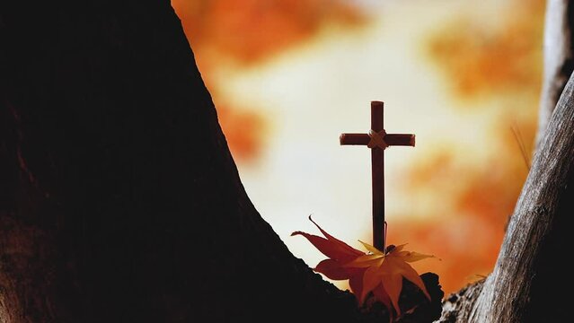 Beautiful fallen leaves and red maple leaves falling through the trees and the Holy Cross of Jesus Christ
