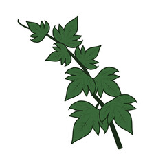 Green poison ivy leaves design vector flat isolated illustration