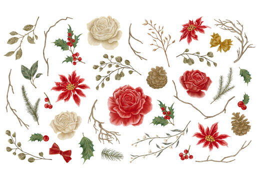 Christmas Leaves & Floral Elements