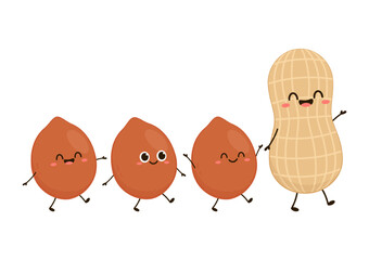 Peanut cartoon vector. Peanut on white background.