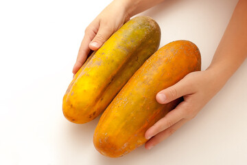 two cucumbers green and yellow - very big size for receiving seeds.