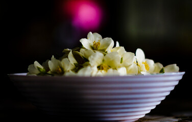 Jasmine flowers. Jasmine in a bowl. natural background