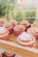 Gourmet cupcakes with white buttercream frosting and sprinkles on wooden background