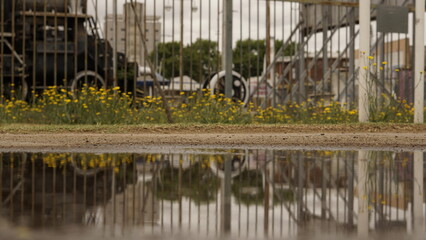 reflejo en el ferrocarril