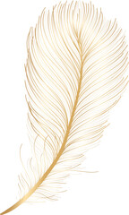 Gold feather hand drawn © TWINS DESIGN STUDIO