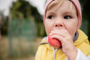 little child eating apple