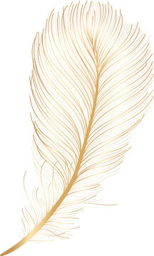 Gold Feathers Stock Illustrations – 10,818 Gold Feathers Stock