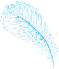 Fototapeta na wymiar feather hand drawn
