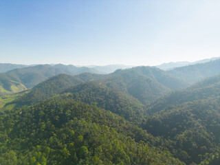 Fototapeta na wymiar Aerial top view of forest trees and green mountain hills with sea fog, mist and clouds. Nature landscape background, Thailand.