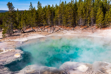 Hot spring at Norris Basin.Yellowstone national park. USA.