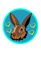 Rabbit isolated on blue background