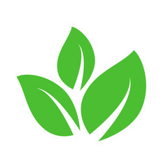 leaf icon vector logo template