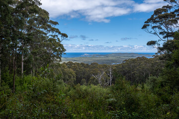 Looking to the coast from Hilltop Lookout, Walpole-Nornalup National Park