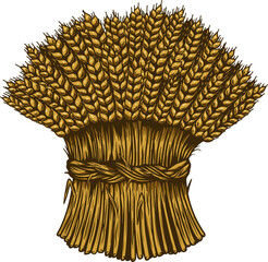 Illustration of wheat sheaf in engraving style. Design element for card, banner, menu. Vector illustration