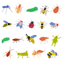 Colorful set of insects. Flat hand drawn illustrations on white background.