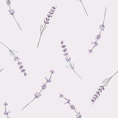 Lavander Watercolor. Pattern. Illustration for clipart. Designed for menus, culinary blogs, packaging, textiles, web design, sites, stickers, invitations, patterns, logos. Drawn by hand.