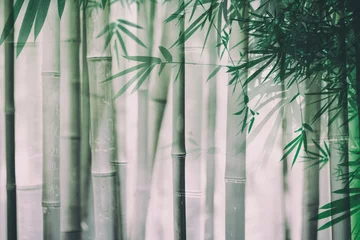 Schilderijen op glas beautifull bamboo forest background © wijhatun
