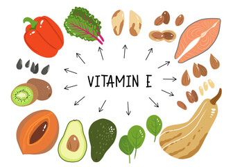 Vitamin e vector stock illustration. Food products with a high content of the tocopherol. kiwi, mamey sapote, swiss chard, red sweet pepper, avocado, butternut squash, brazil nuts, peanuts, salmon