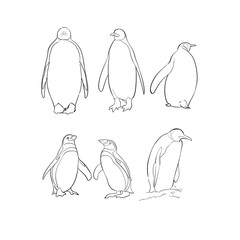 Obraz premium ペンギンの線画 Penguin line drawing