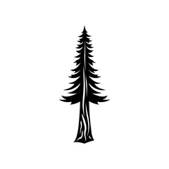 Natural silhouette of a redwood tree. template tree isolated - obrazy, fototapety, plakaty