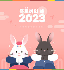 2023 Gyemyo Year Rabbit Character Illustration 
