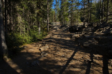 Hiking track at Stewart Canyon at Lake Minnewanka in Banff National Park,Alberta,Canada,North America
