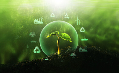 Sources for renewable, sustainable development. Environment and  ecology  concept.