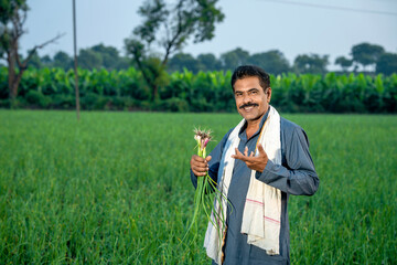 Onion Farm