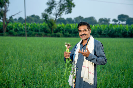 Onion Farm
