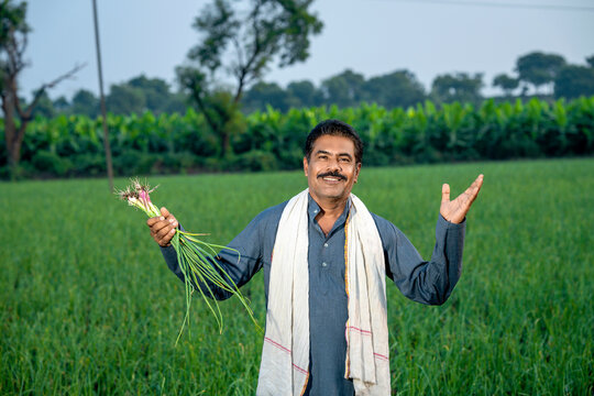 Onion Farm