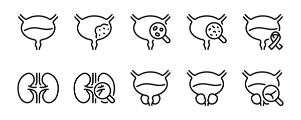 Urology and urinary system related editable stroke outline icon isolated on white background flat vector illustration. Pixel perfect. 64 x 64.