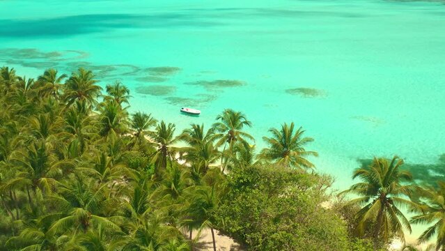 Aerial view over tall palm trees of tropical island coastline with white exotic beach and turquoise lagoon in Maldives.