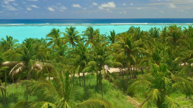 Aerial view over tall palm trees of tropical island coastline with white exotic beach and turquoise lagoon in Maldives.
