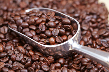 Fototapeta premium coffee beans in the spoon