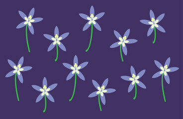Wahlenbergia Stricta, Australian bluebell flower pattern.