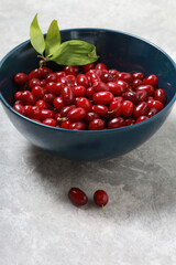 Close-up of a red ripe dogwood in a blue bowl on a light background