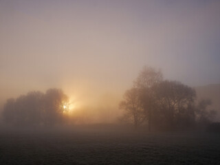 Fototapeta na wymiar misty morning in the morning