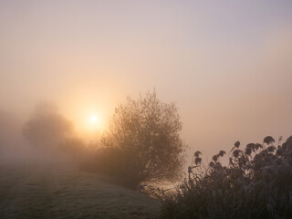 Fototapeta na wymiar Sunrise in a foggy landscape